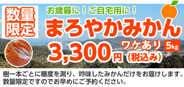 ワケあり「まろやかみかん（田口早生）」お歳暮に！ご自宅用に！5kgで税込3,300円。吟味したみかんだけをお届します。数量限定です。
