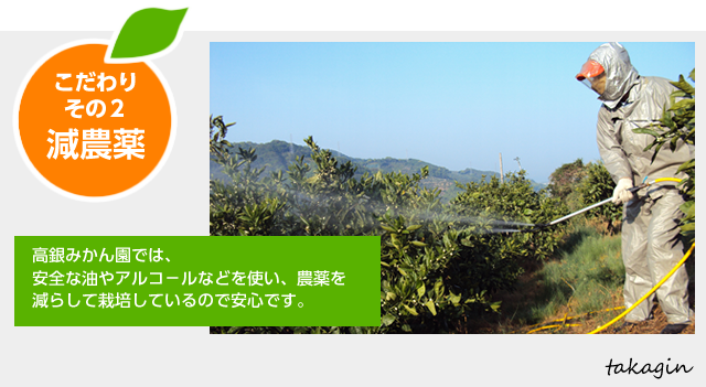 こだわり２：高銀みかん園では、安全な油やアルコールなどを使い、農薬を減らして栽培しているので安心です。