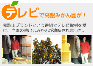 和歌山ブランドという番組で高銀みかん園が取材をうけました。