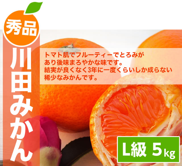川田みかんL5kgメイン