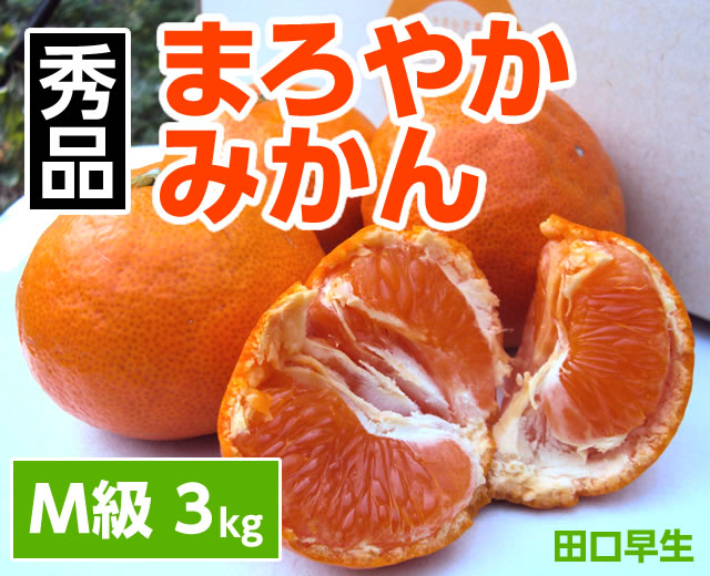 まろやかみかんM3kgメイン
