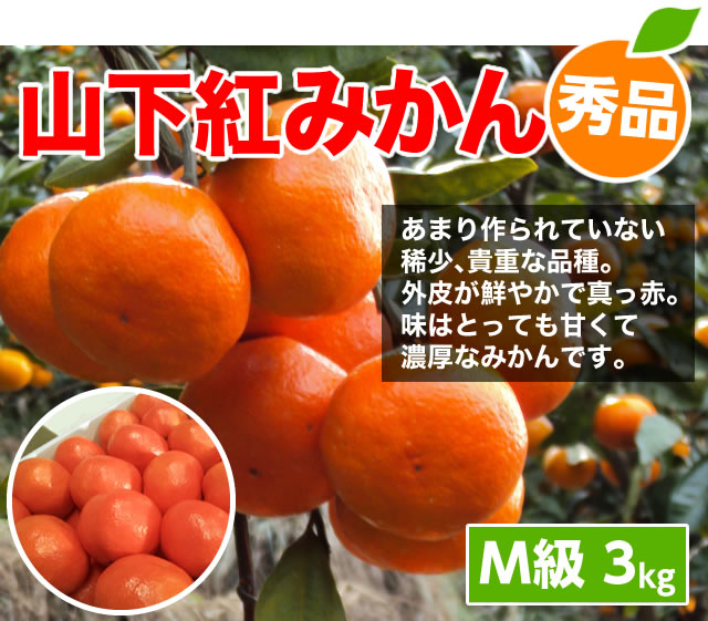 山下紅みかんM3kgメイン