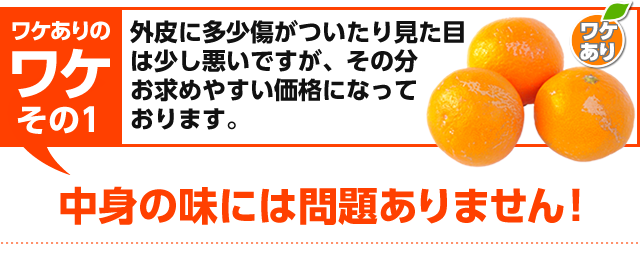 「ワケありのワケその１」みかんの外皮に多少の傷がついており見た目が少し悪いですが、みかんの味には問題ありません