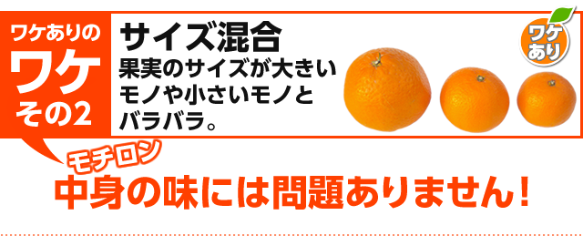 「ワケありのワケその２」みかんのサイズ（大きさ）が大きいものや小さいものがあります。もちろん、みかんの味には問題ありません