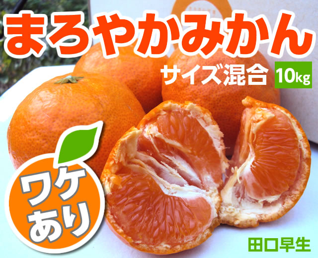 まろやかみかんわけあり10kgメイン