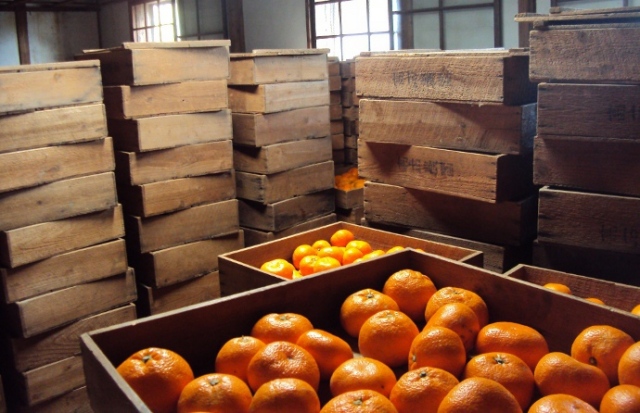 木箱のみかん